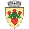 Detectivi particulari în județul Miercurea-Ciuc